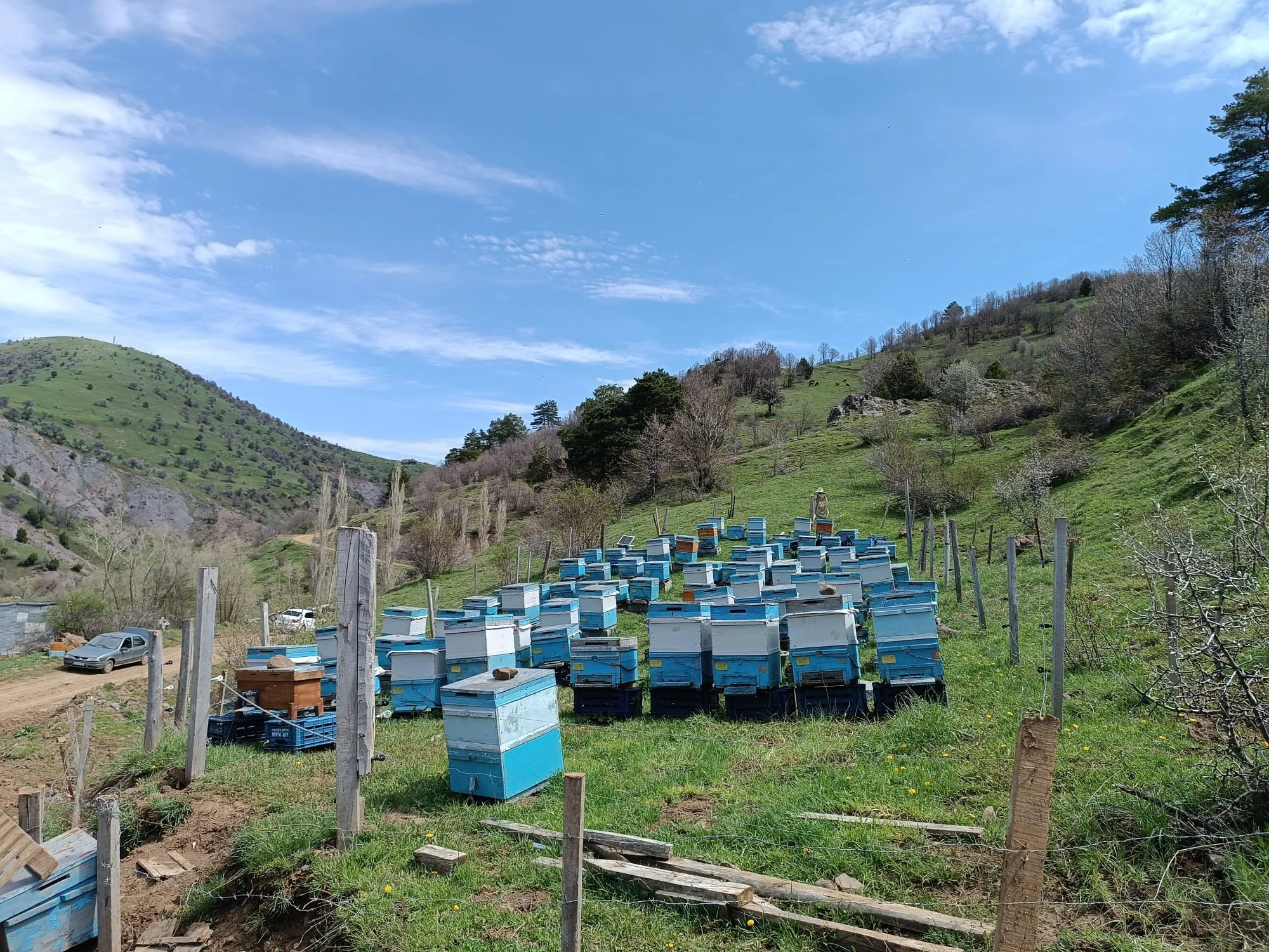Sivas Zara Ütükyurdu Köyü arı kovanlarımız